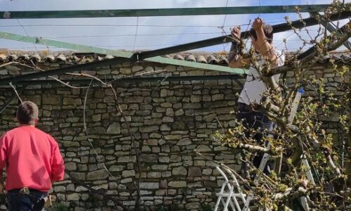 BPA Ouvrier Spécialisé en Paysage - OSP -Formation continue adulte