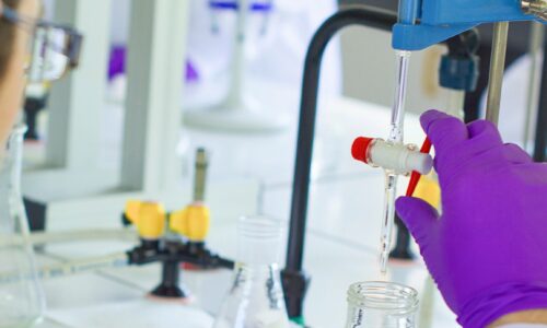 Bac Techno STL Bio - Sciences et Technologies de Laboratoire spécialité Biotechnologies