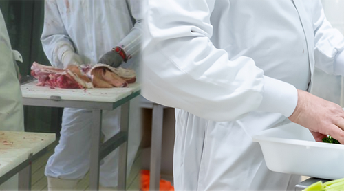 CAPA OIA Boucherie / Charcuterie / Traiteur / Restauration collective - Apprentissage ou Continue Adulte