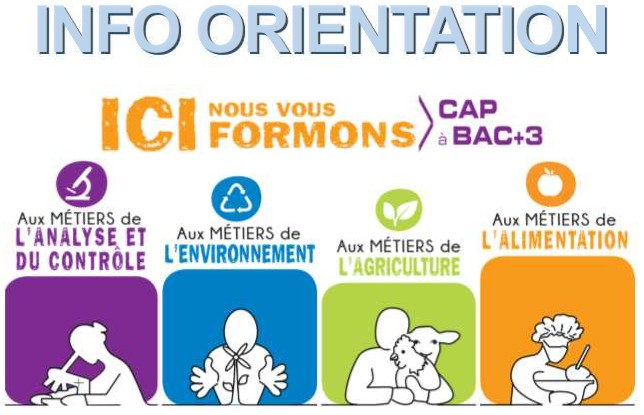 INFO ORIENTATION