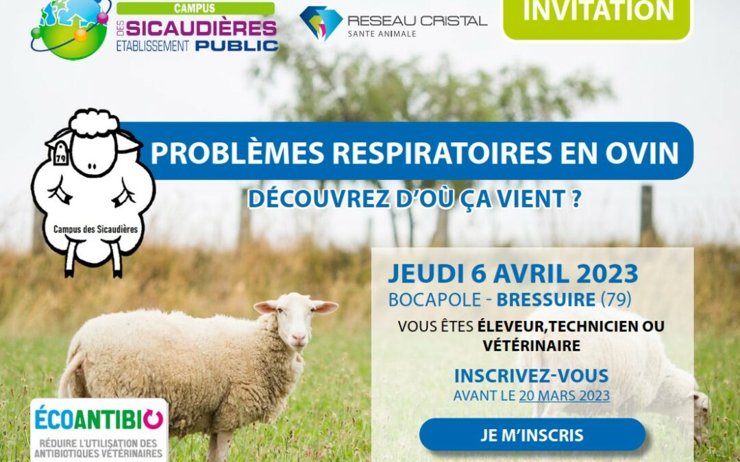 Invitation colloque : Les problèmes respiratoires en ovin le jeudi 6 avril 2023 à Bocapôle BRESSUIRE
